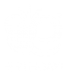 LEGO birthday party Calgary icon – STEM fun for kids