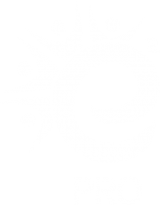 LEGO team-building icon – STEM workshops for schools & groups