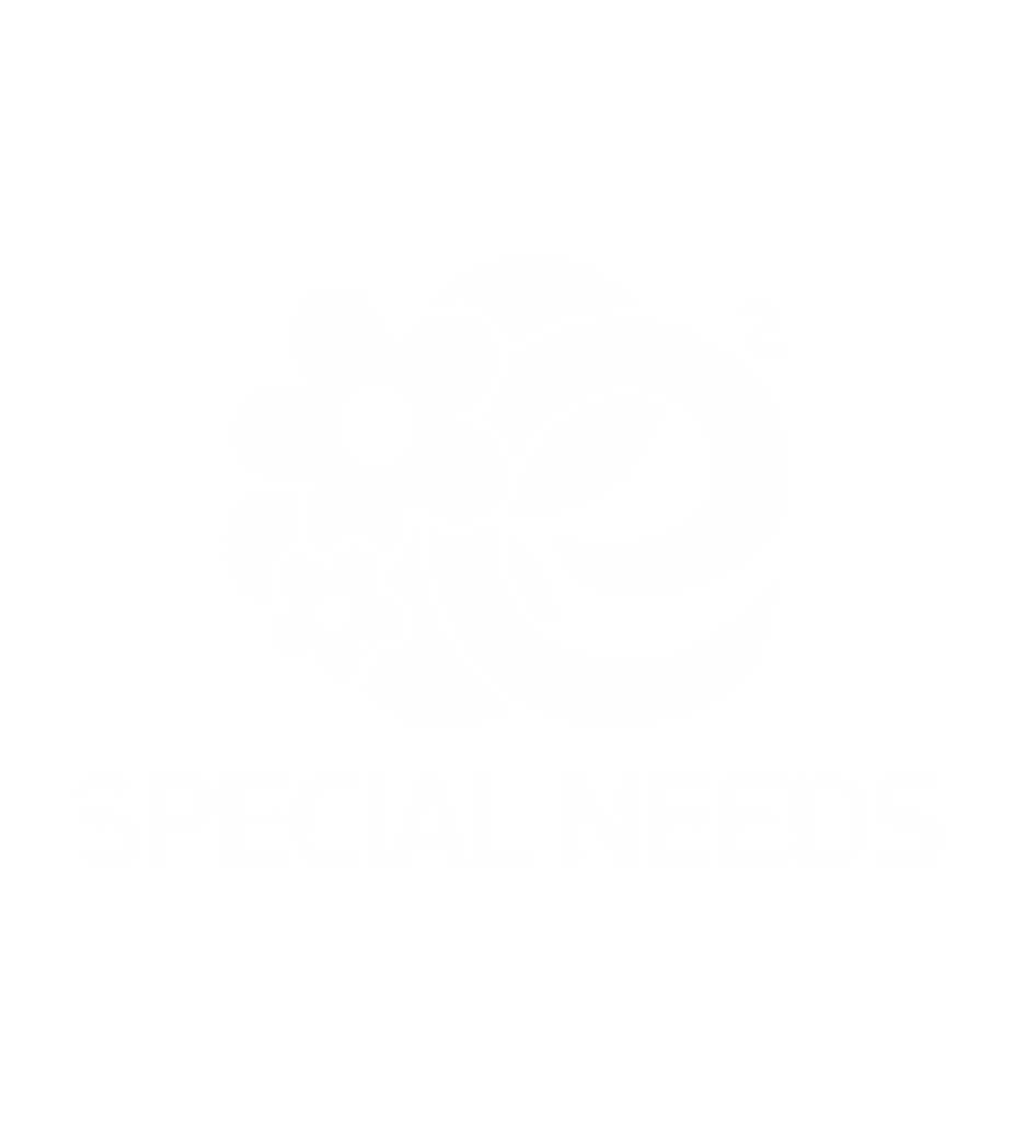 Inclusive LEGO STEM program icon – special needs Calgary