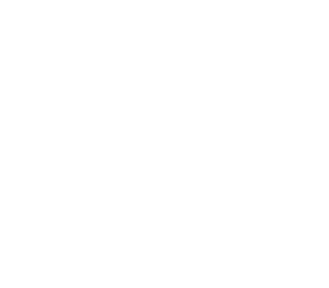 LEGO birthday party Calgary icon – STEM fun for kids